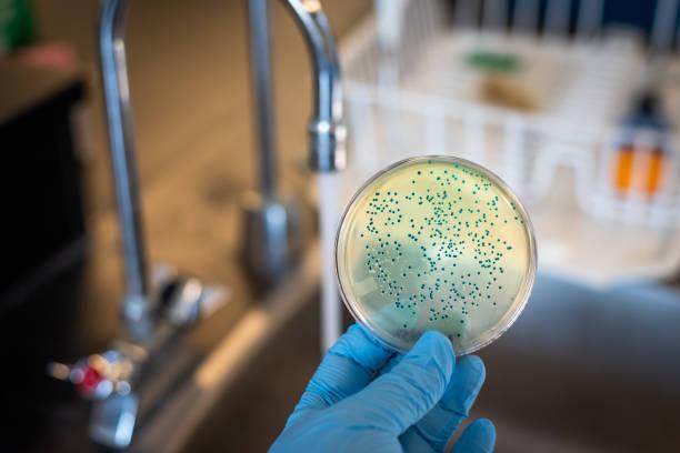 Bacteria Testing Still Belongs in Every Serious Tap Water Program